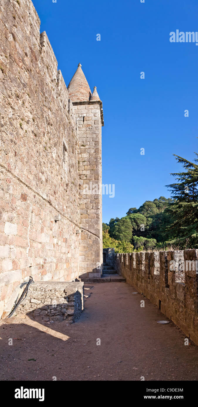 Feira Castle. Santa Maria da Feira, Portugal. Stock Photo