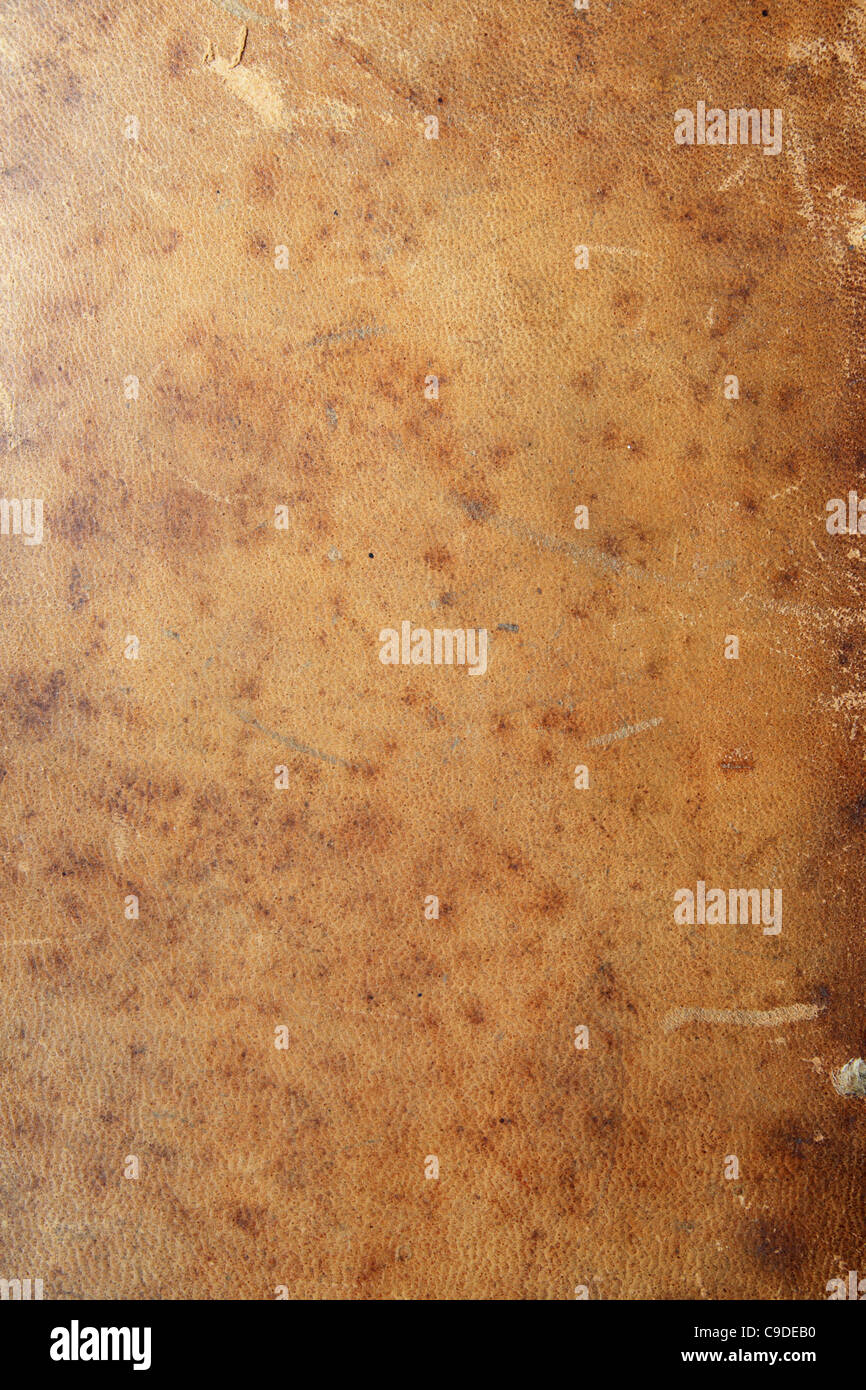 Vellum book cover hires stock photography and images Alamy