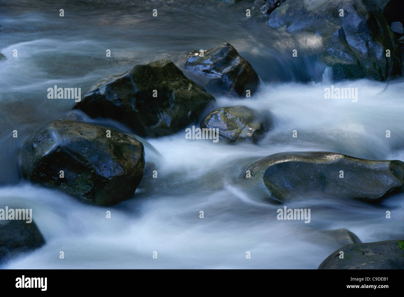 Stream rocks hi-res stock photography and images - Alamy