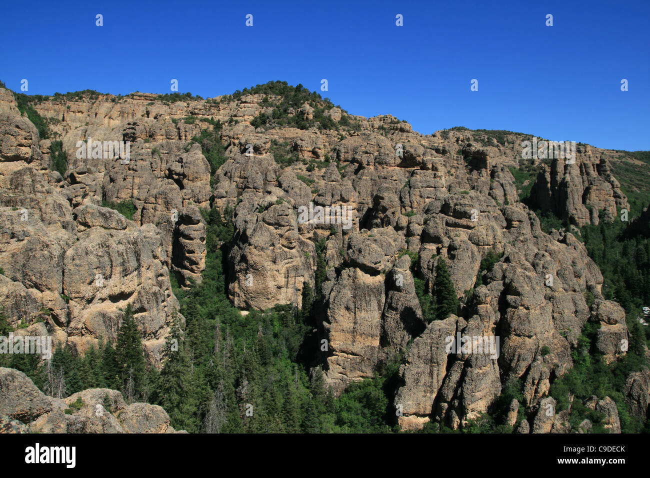 vista of Maple Canyon, Utah cliffs and trees from above Stock Photo