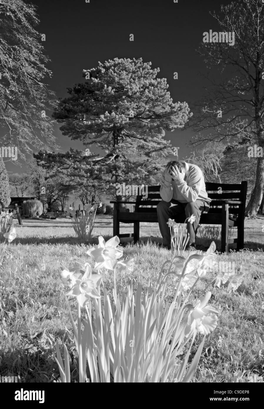 Lonely Male depression in Spring sitting on park bench with head in hands Stock Photo