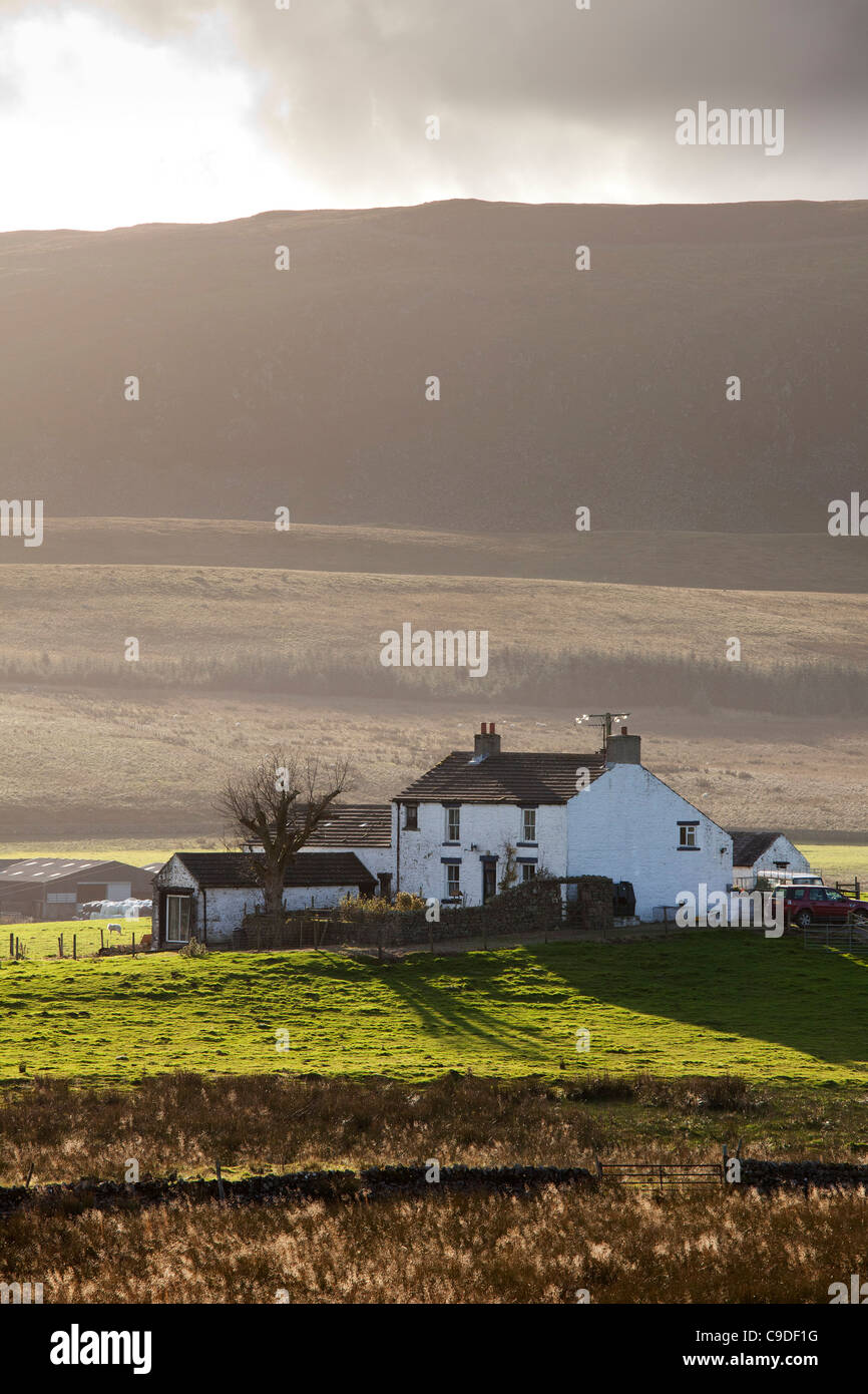 Remote farmhouse, Forest in Teedale, County Durham Stock Photo