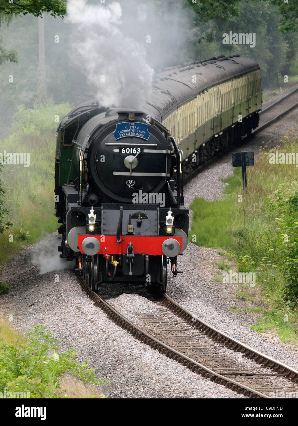 The Tornado steam train on the West Somerset Railway Line, UK Stock Photo