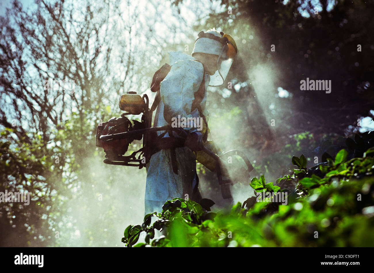 Crop Removal Hi res Stock Photography And Images Alamy