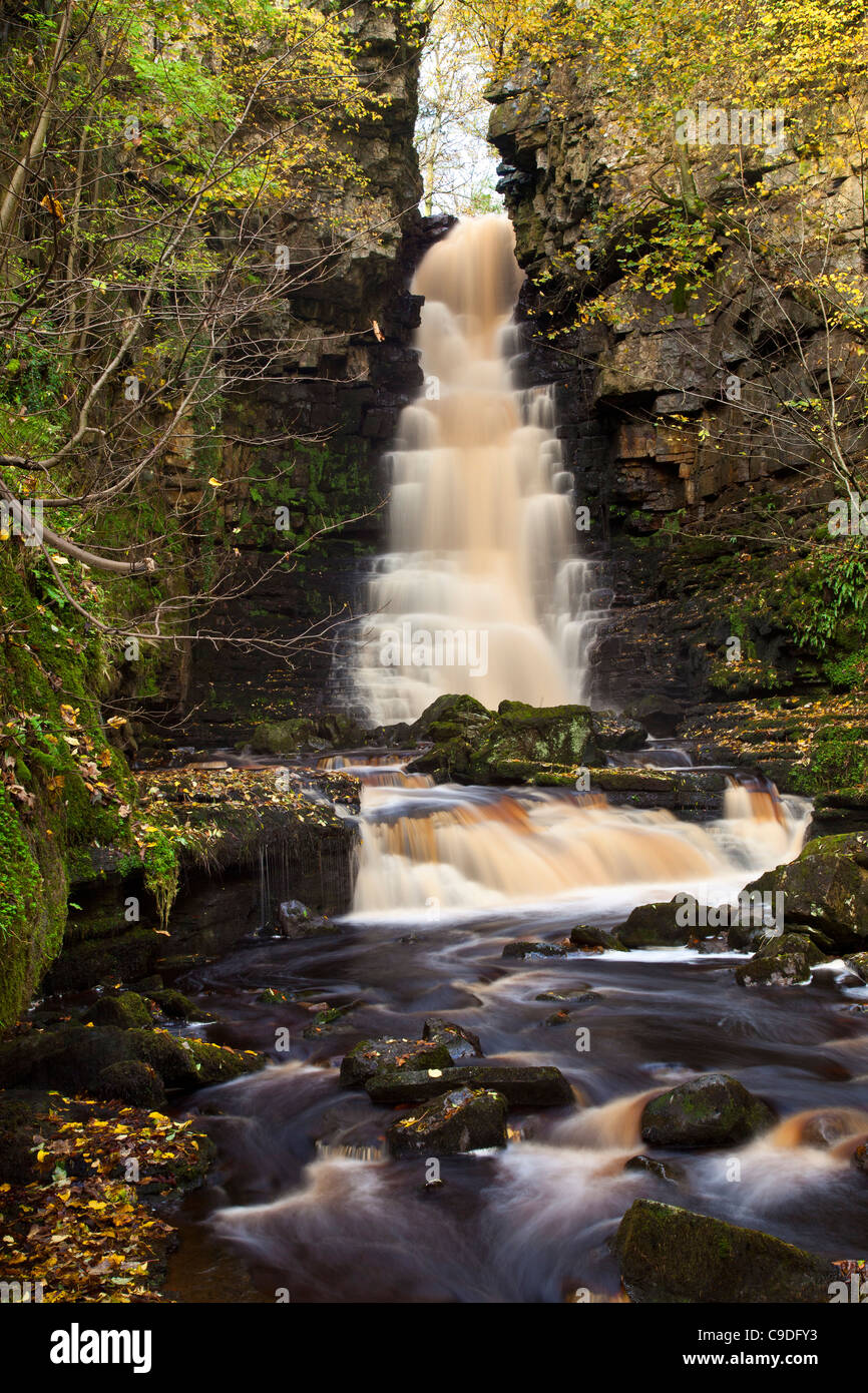 Mill Gill Force, Whitfield Beck, Askrigg, Wensleydale, Yorkshire Dales National Park Stock Photo