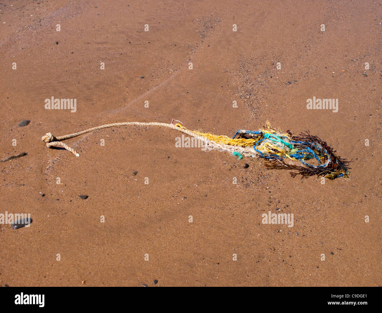 Washed Up Rope Washed up rope beach hi-res stock photography and images - Alamy
