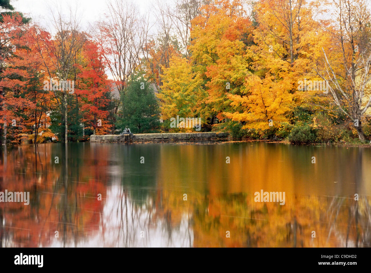 USA, New Hampshire, Fall trees surrounding Ossipee Lake Stock Photo Alamy