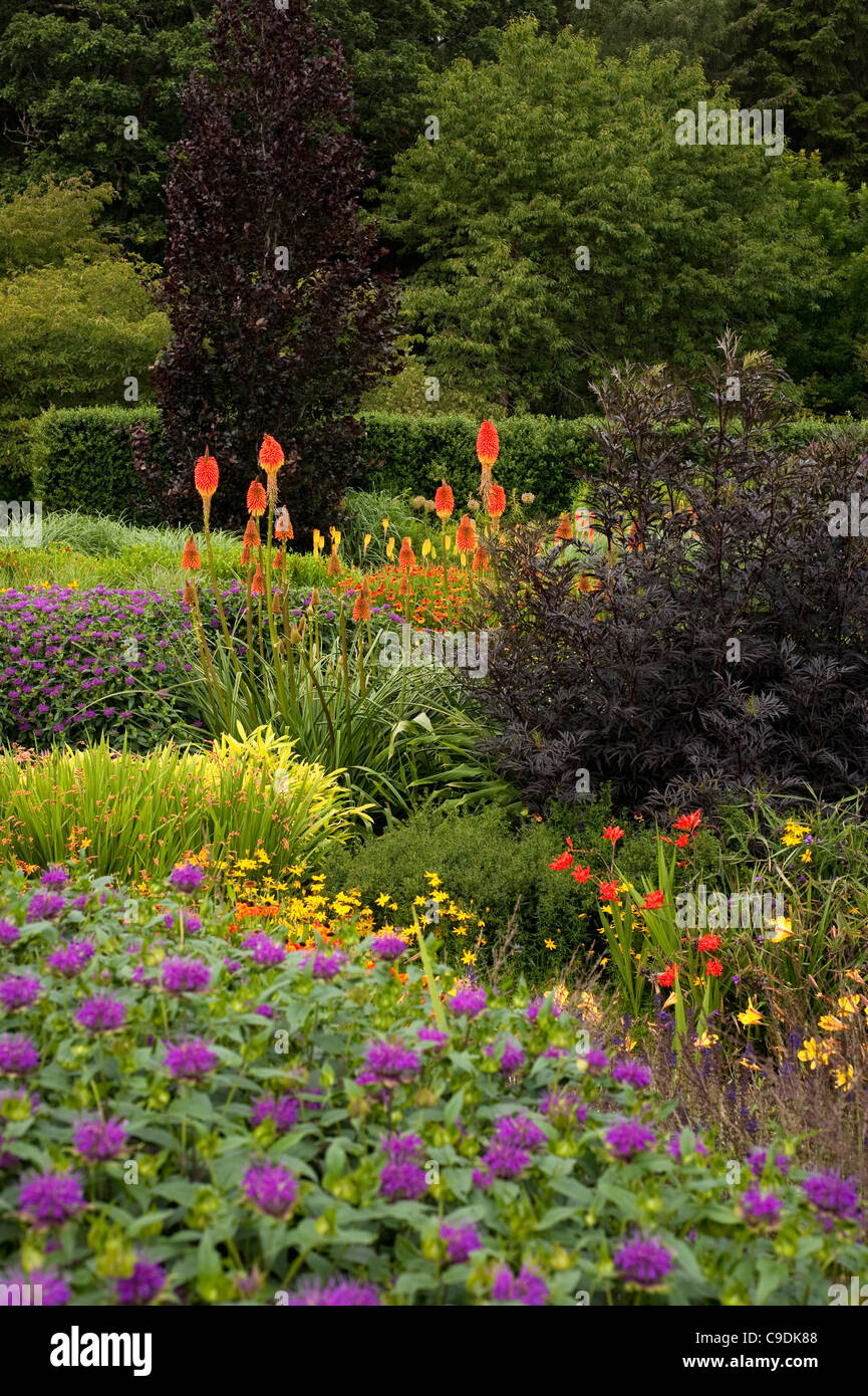The Hot Garden in Summer, RHS Rosemoor, Devon, England, United Kingdom Stock Photo