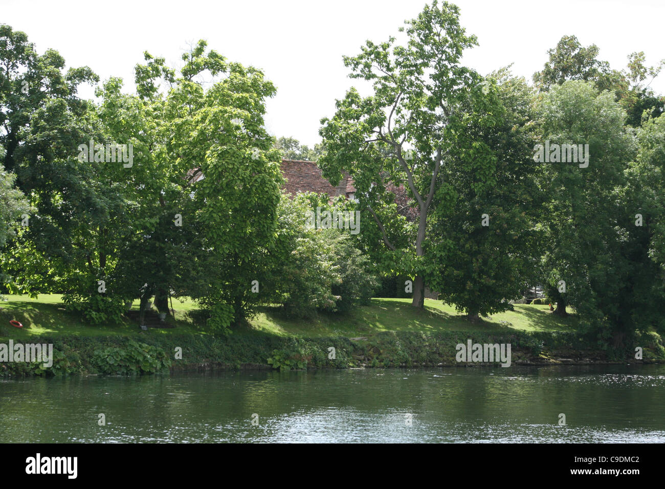 River Thames in the foreground with bank of trees in the background. Stock Photo