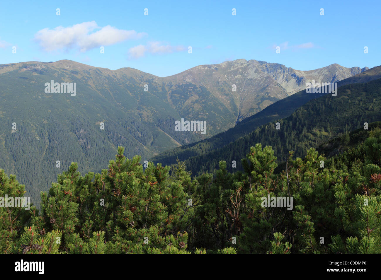 View of valley 'Ziarska dolina' in Rohace, western part of High Tatras National Park, Slovakia. Stock Photo