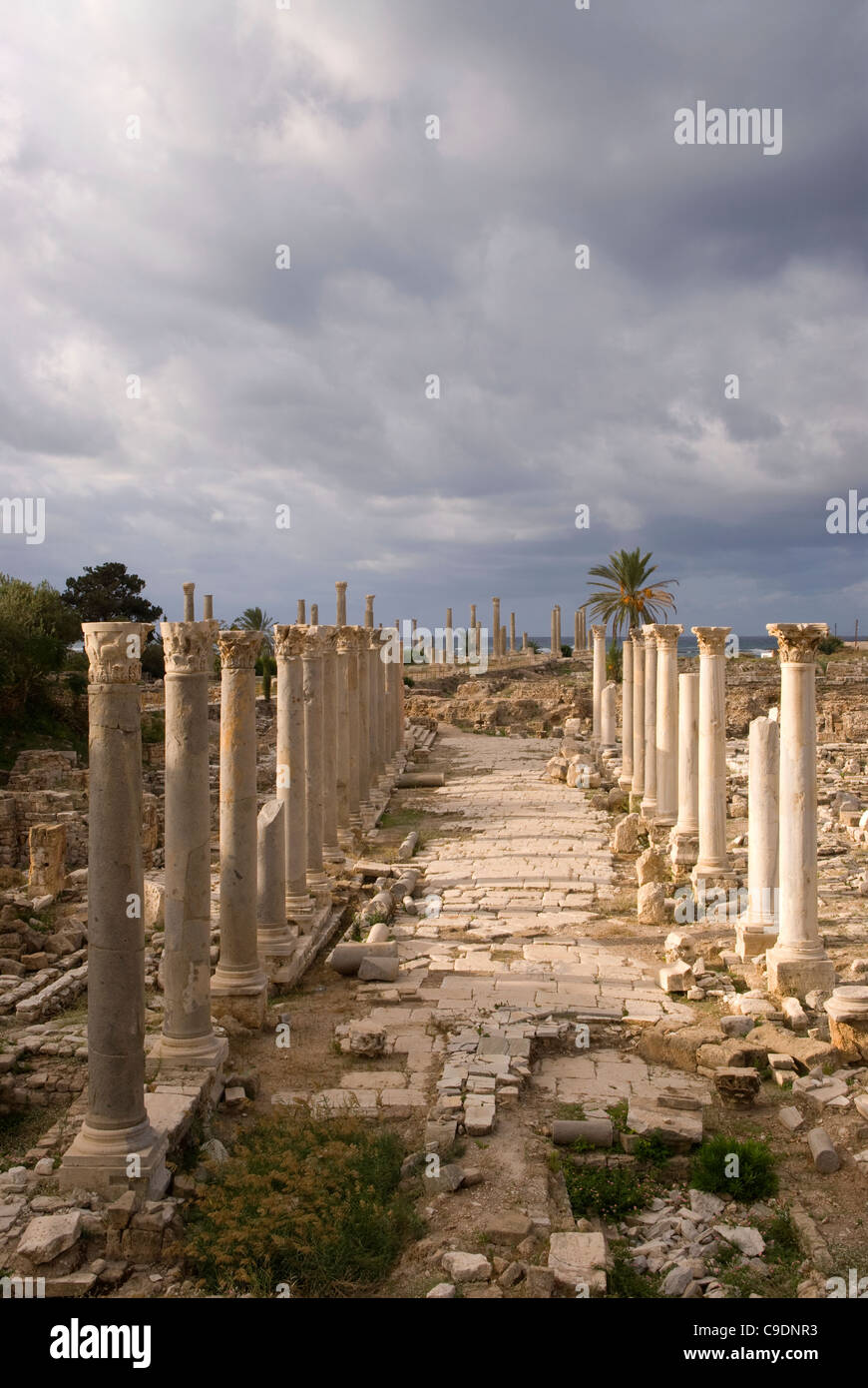 Al Mina archaeological site, Tyre, south Lebanon Stock Photo - Alamy