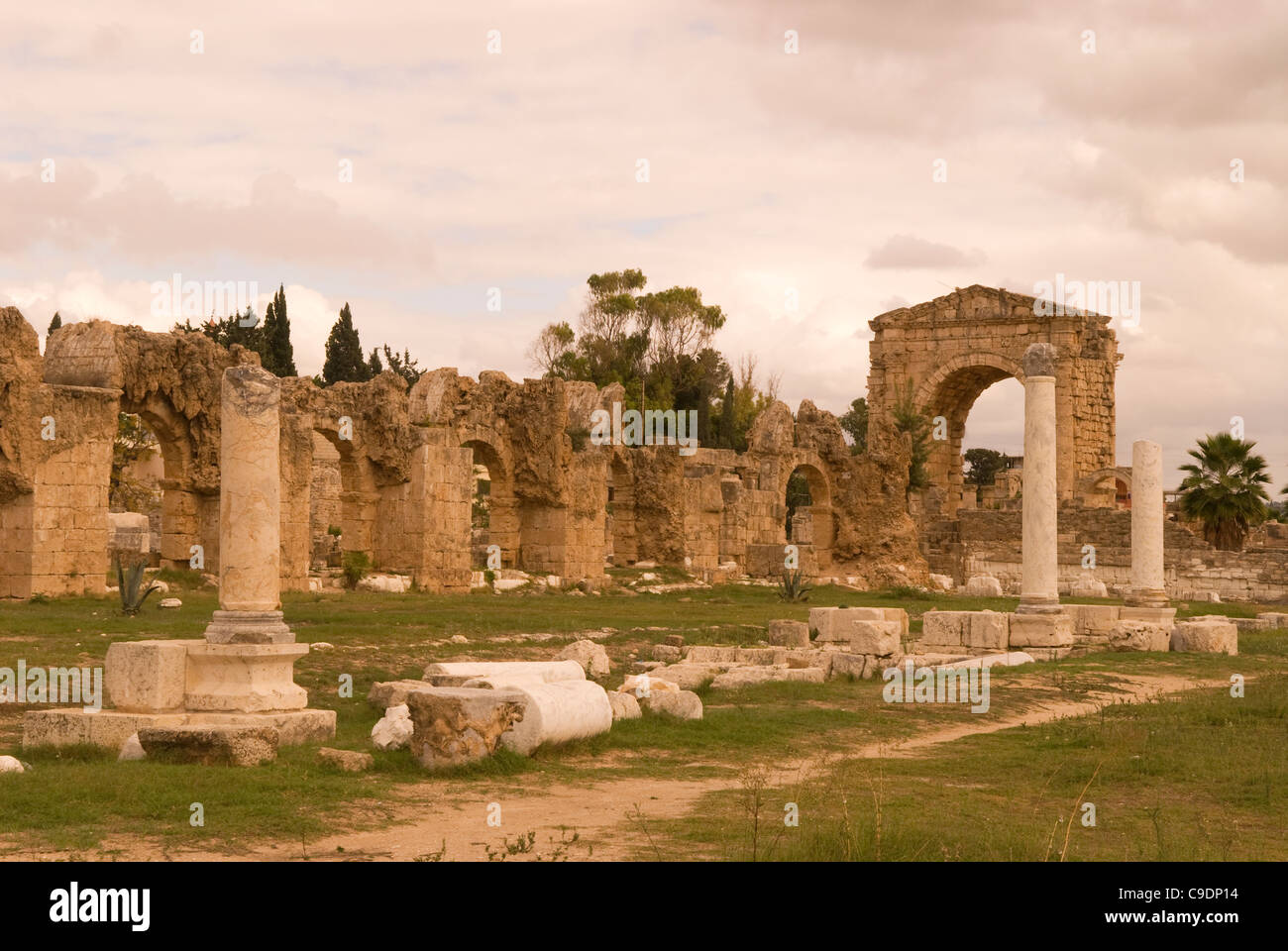 Al-Bass archaeological site, Tyre (Sour), southern Lebanon. Stock Photo