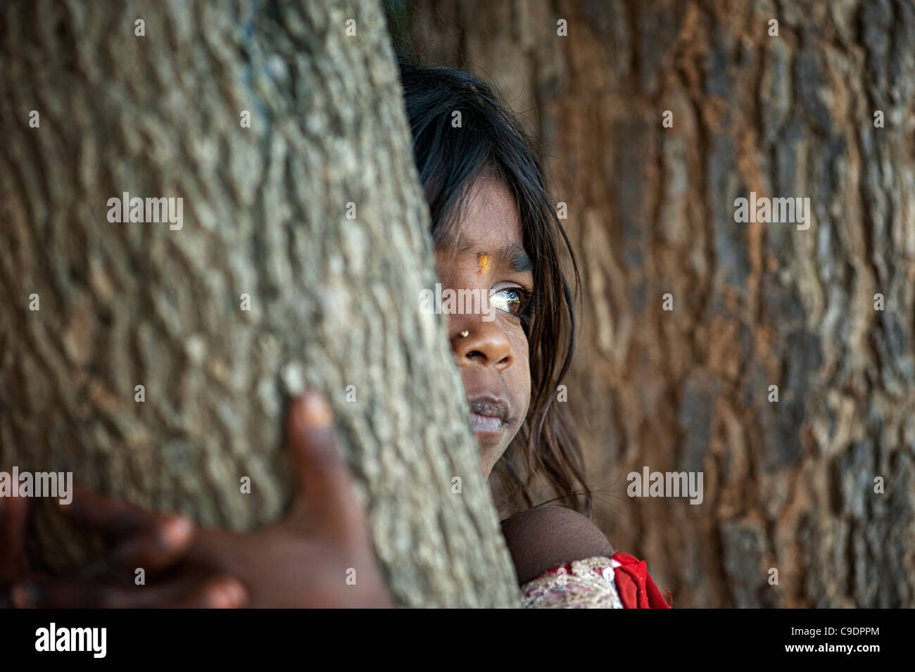 Poor Indian beggar girl sitting in a tree staring, selective focus. Andhra Pradesh, India Stock Photo