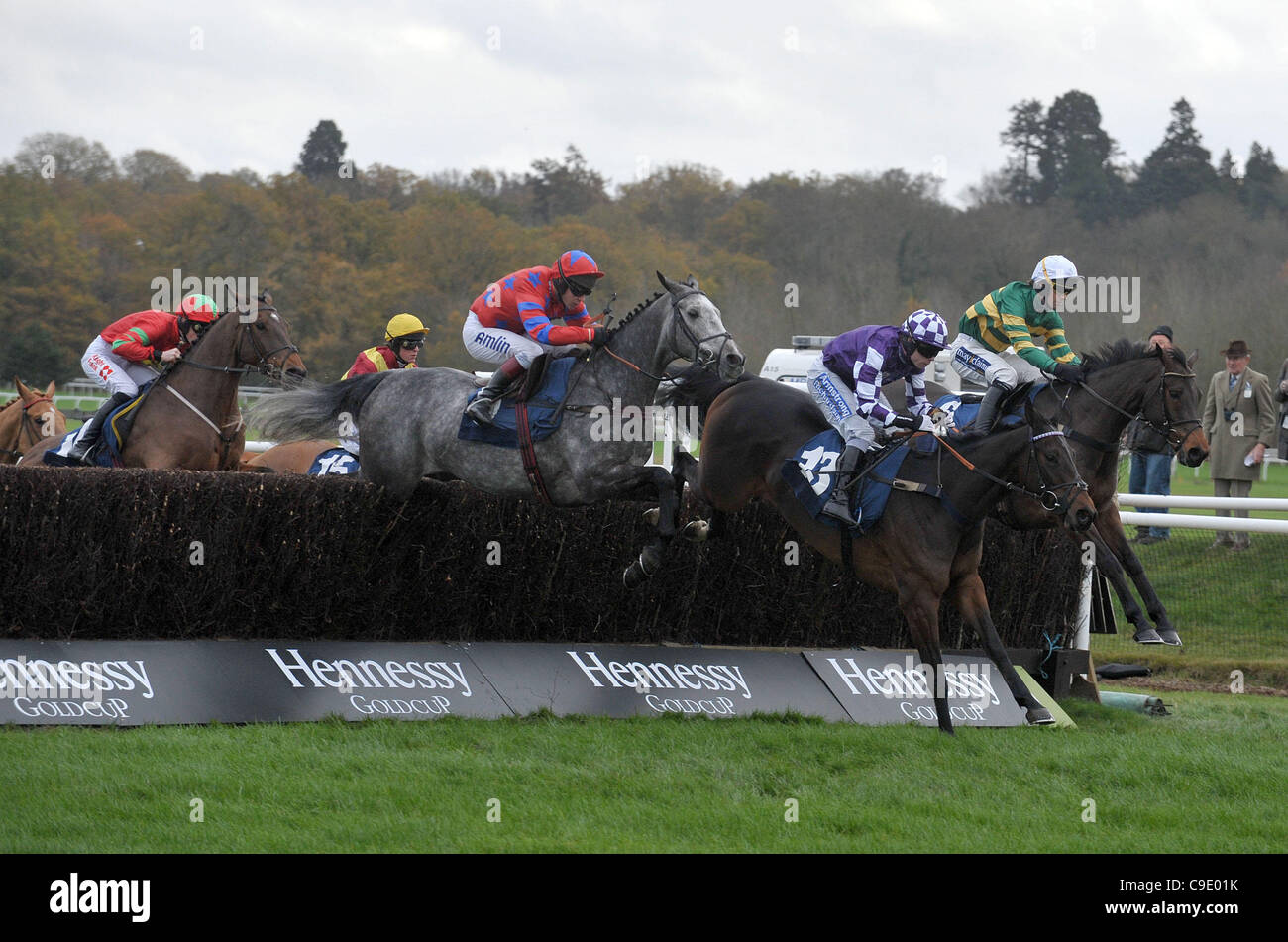 Ravastree ridden by Denis O'Regan leads the field in the Sportingbet Novices´ Handicap Chase (for the Fulke Walwyn Trophy)  at Newbury Racecourse, Berkshire - 26/11/2011 - CREDIT: Martin Dalton/TGSPHOTO Stock Photo