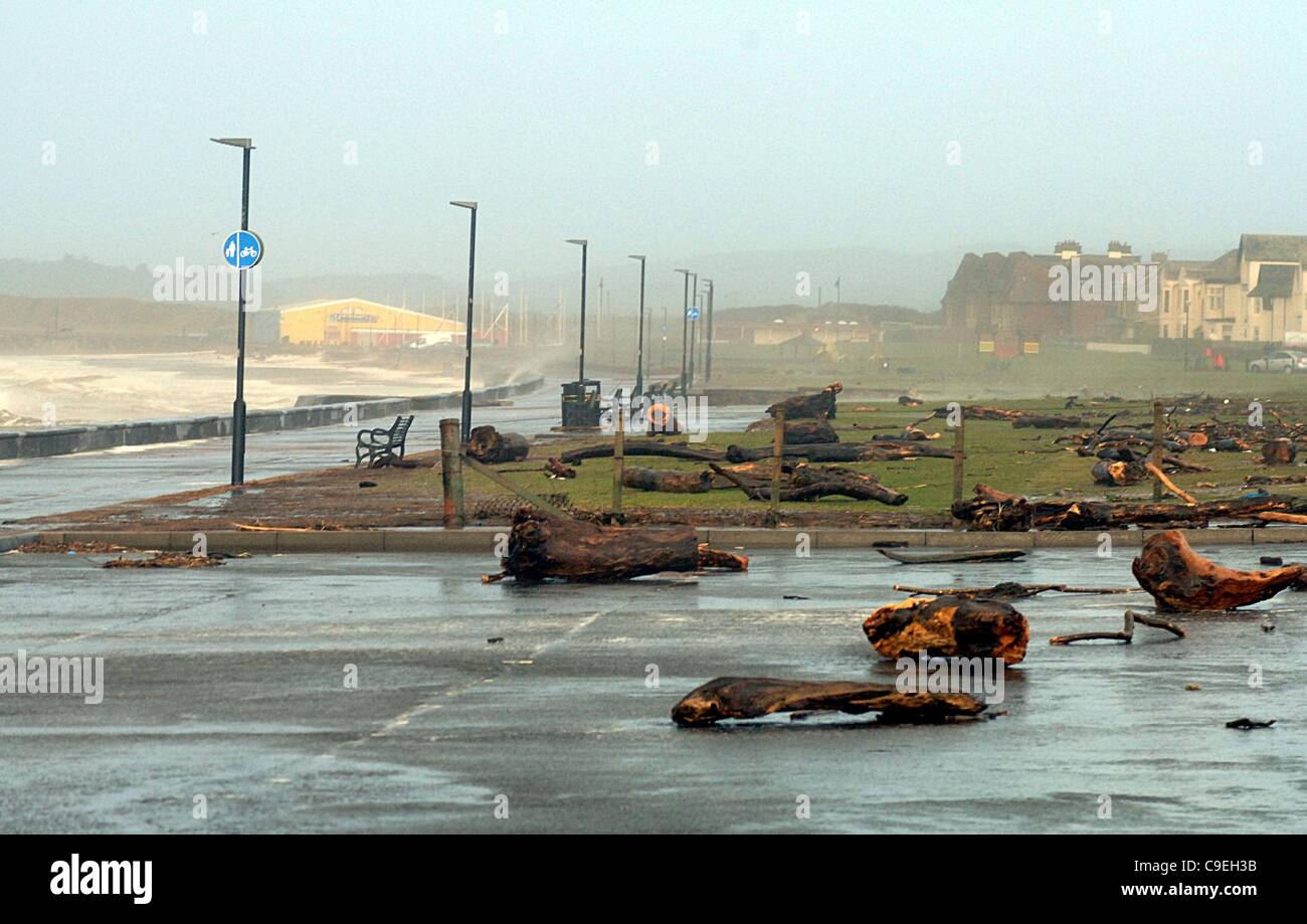 Logs and branches thrown up by the sea litter the car park and green on Prestwick Promenade, Prestwick, UK on Thursday 8th Dec, 2011. Western Scotland was battered by gale force winds and driving rain. Stock Photo