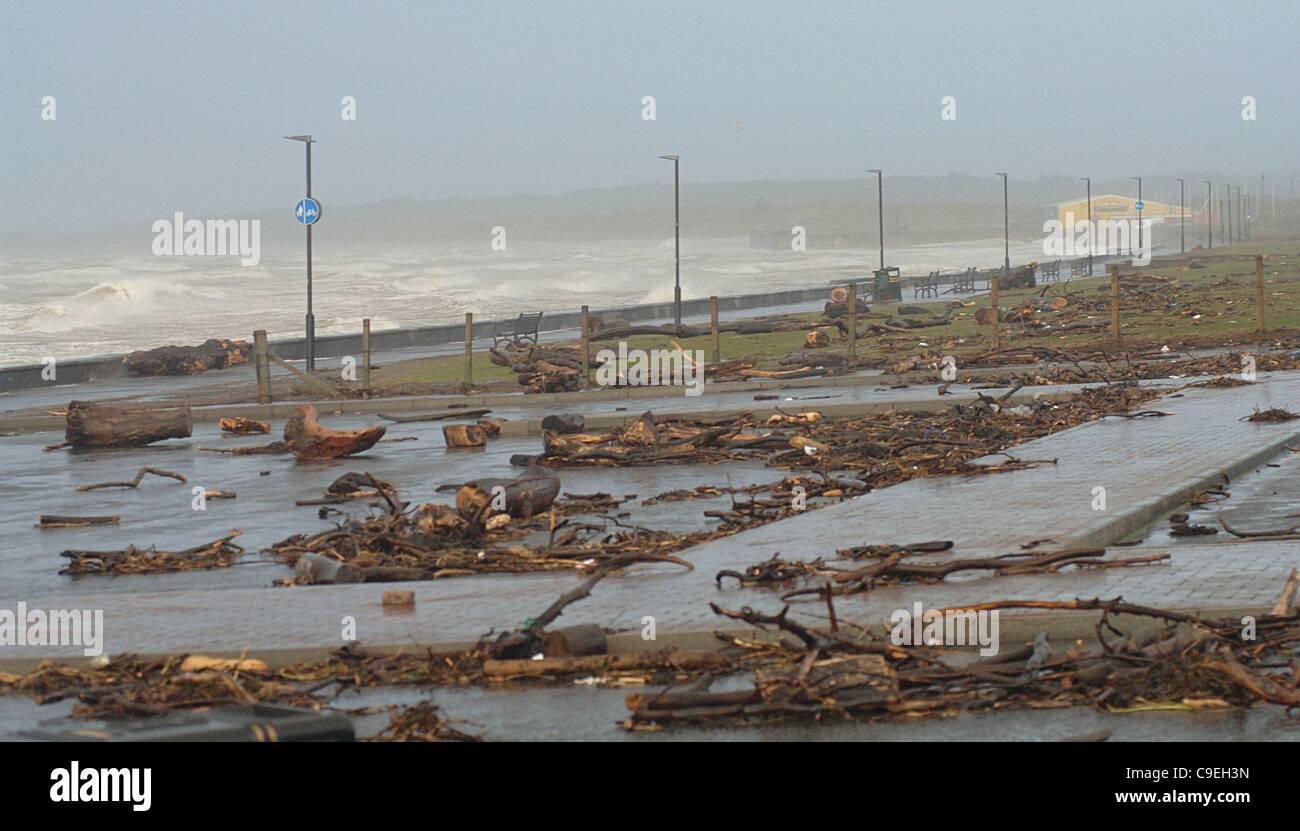 Logs and branches thrown up by the sea litter the car park and green on Prestwick Promenade, Prestwick, UK on Thursday 8th Dec, 2011. Western Scotland was battered by gale force winds and driving rain. Stock Photo