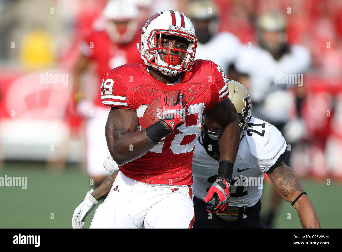 Nov. 5, 2011 - Madison, Wisconsin, U.S - Wisconsin running back Montee Ball #28 rushed for 223 yards on 20 carries and 3 touchdowns. The Wisconsin Badgers defeated the Purdue Boilermakers 62-17 at Camp Randall Stadium in Madison, Wisconsin. (Credit Image: © John Fisher/Southcreek/ZUMAPRESS.com) Stock Photo