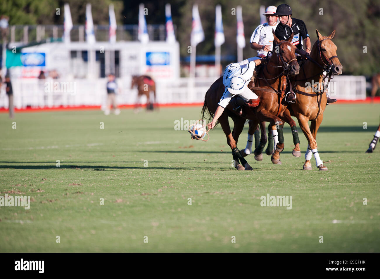 Grand Final of 70th Argentina Pato Open. Pato, also known as Horseball