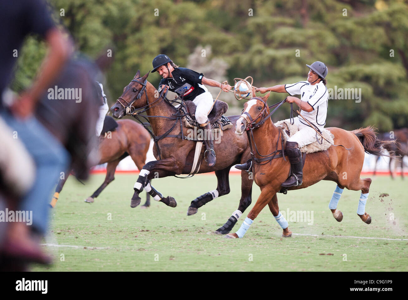 Grand Final of 70th Argentina Pato Open. Pato, also known as Horseball