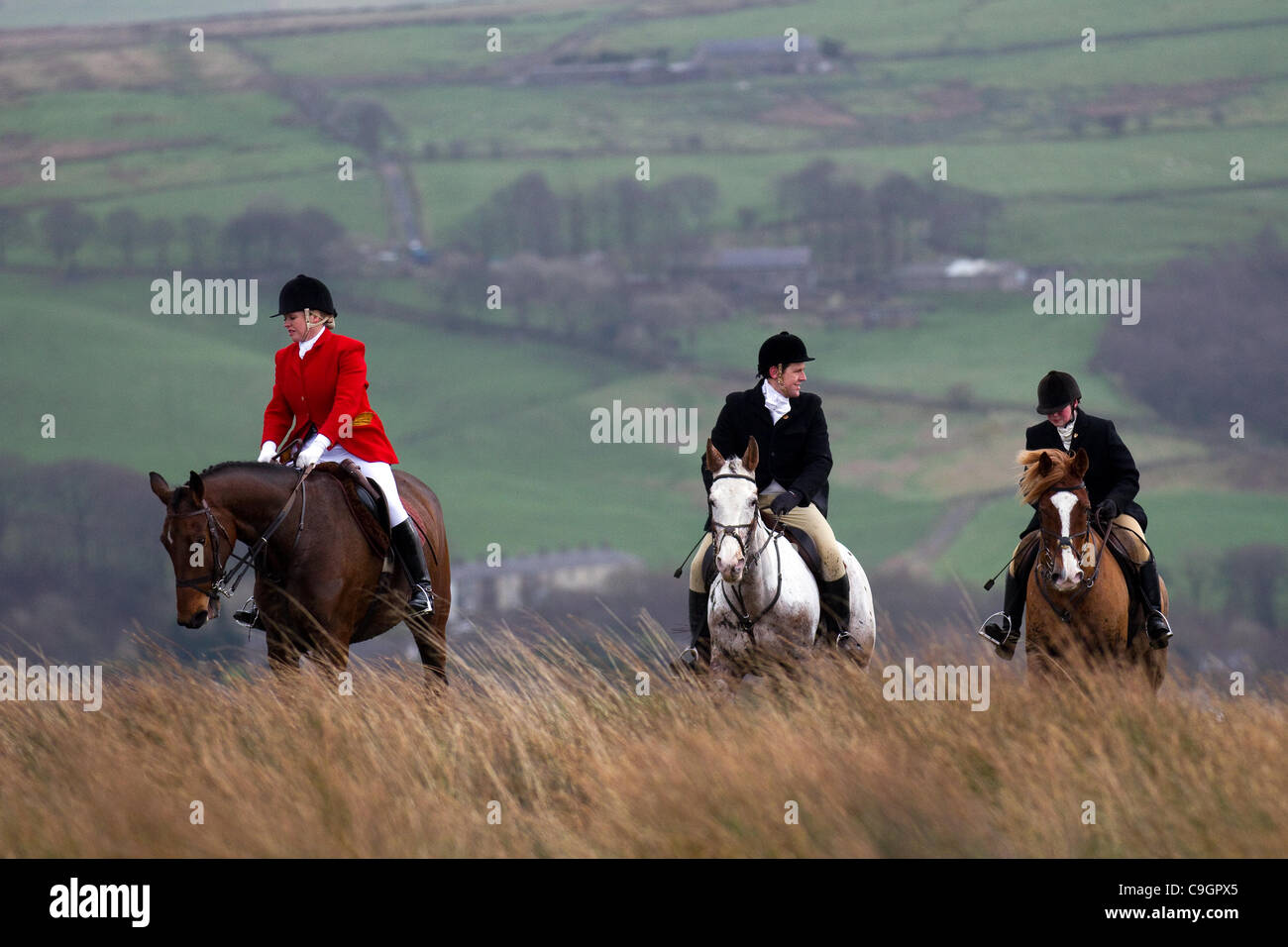 Holcombe Hunt Meeting The traditional sight of horses and hounds ...