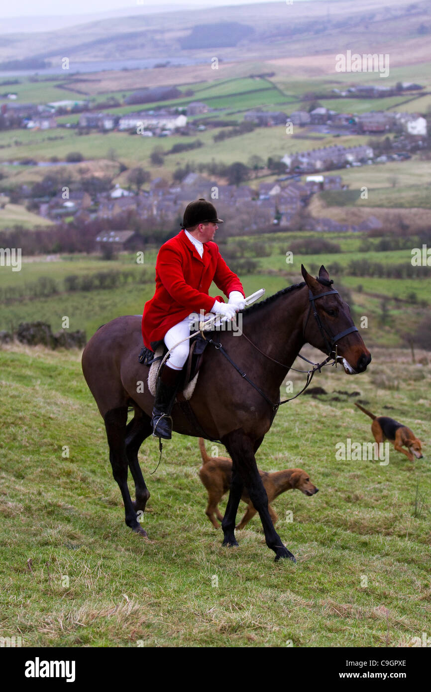 Horse And Hound Stock Photos & Horse And Hound Stock Images Alamy