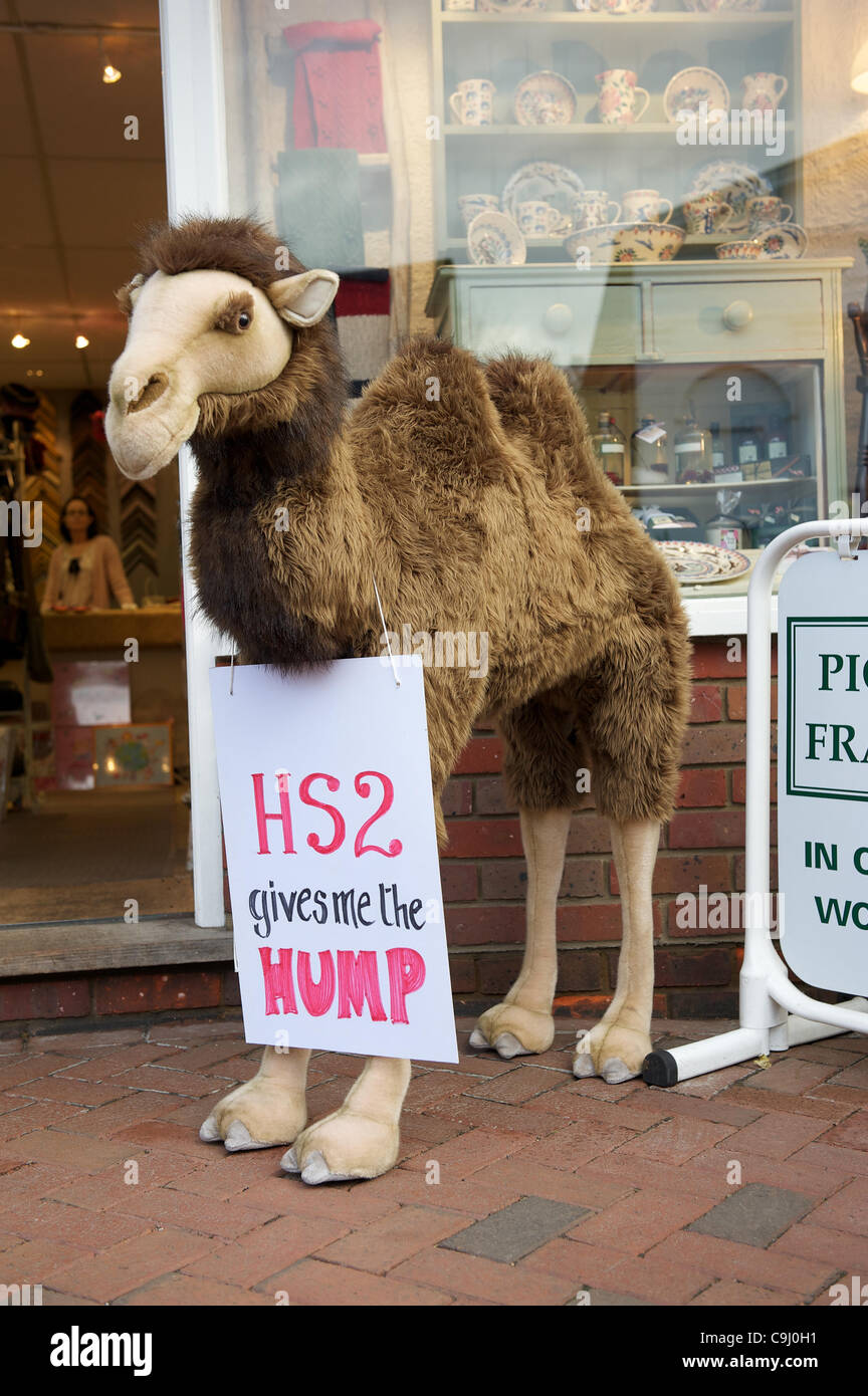 Great Missenden, Bucks, UK 10/01/12. A protest sign reading 'HS2 gives me the HUMP' hangs around a stuffed camel outside a shop in Great Missenden. The high speed line between London and Birmingham will cut through the Chiltern Hills and pass near the town. Stock Photo