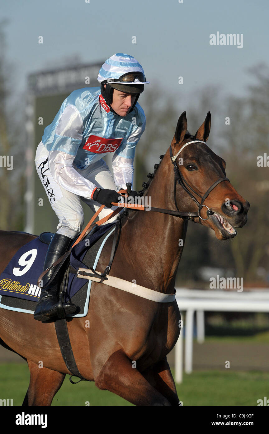 Carabinier ridden by Barry Garaghty before williamhill.com Novices´ Handicap Chase Cl4 3m  at Kempton Park Racecourse, Sunbury-on-Thames, Middlesex - 14/01/2012 - CREDIT: Martin Dalton/TGSPHOTO/Alamy Live News Stock Photo