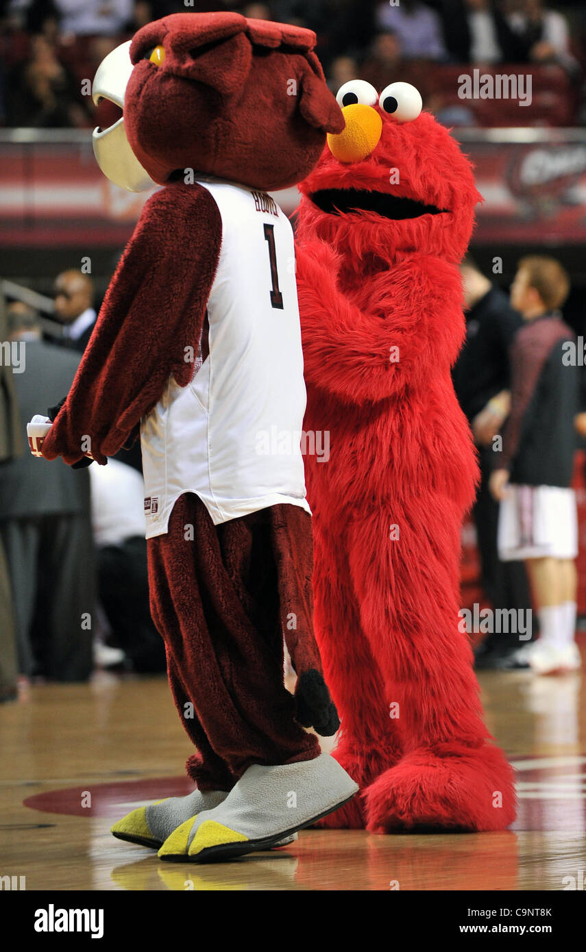 Feb. 1, 2012 - Philadelphia, Pennsylvania, U.S - Elmo (r) joins the Temple  Owls mascot on court during a break in the action in the NCAA basketball  game between the Temple Owls