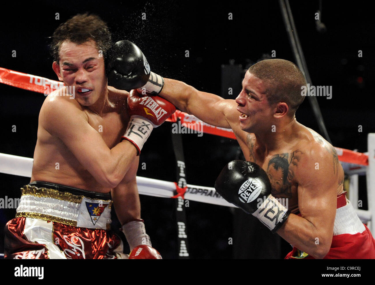 Wilfredo Vazquez Jr