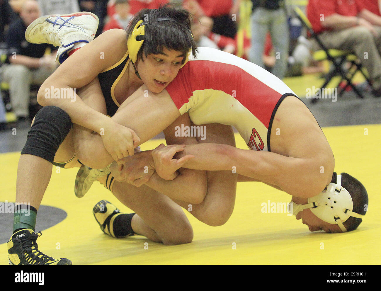 113 pound hires stock photography and images Alamy