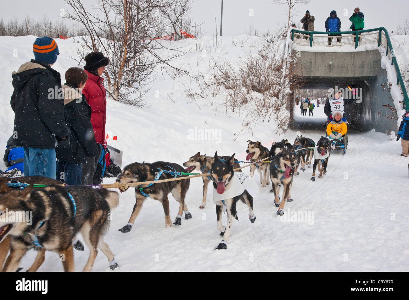 Musher Karin Hendrickson passes by spectators at Tudor Road during start of Iditarod 2012, Anchorage, Alaska, March 3, 2012 Stock Photo