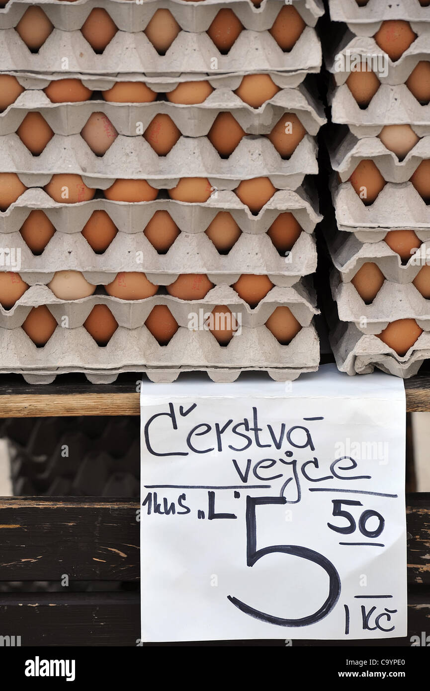 Fresh eggs are sold for 5,50 CZK at Zelny trh (Grocery market) in Brno, Czech Republic, March 9, 2012. (CTK Photo/Igor Sefr) Stock Photo