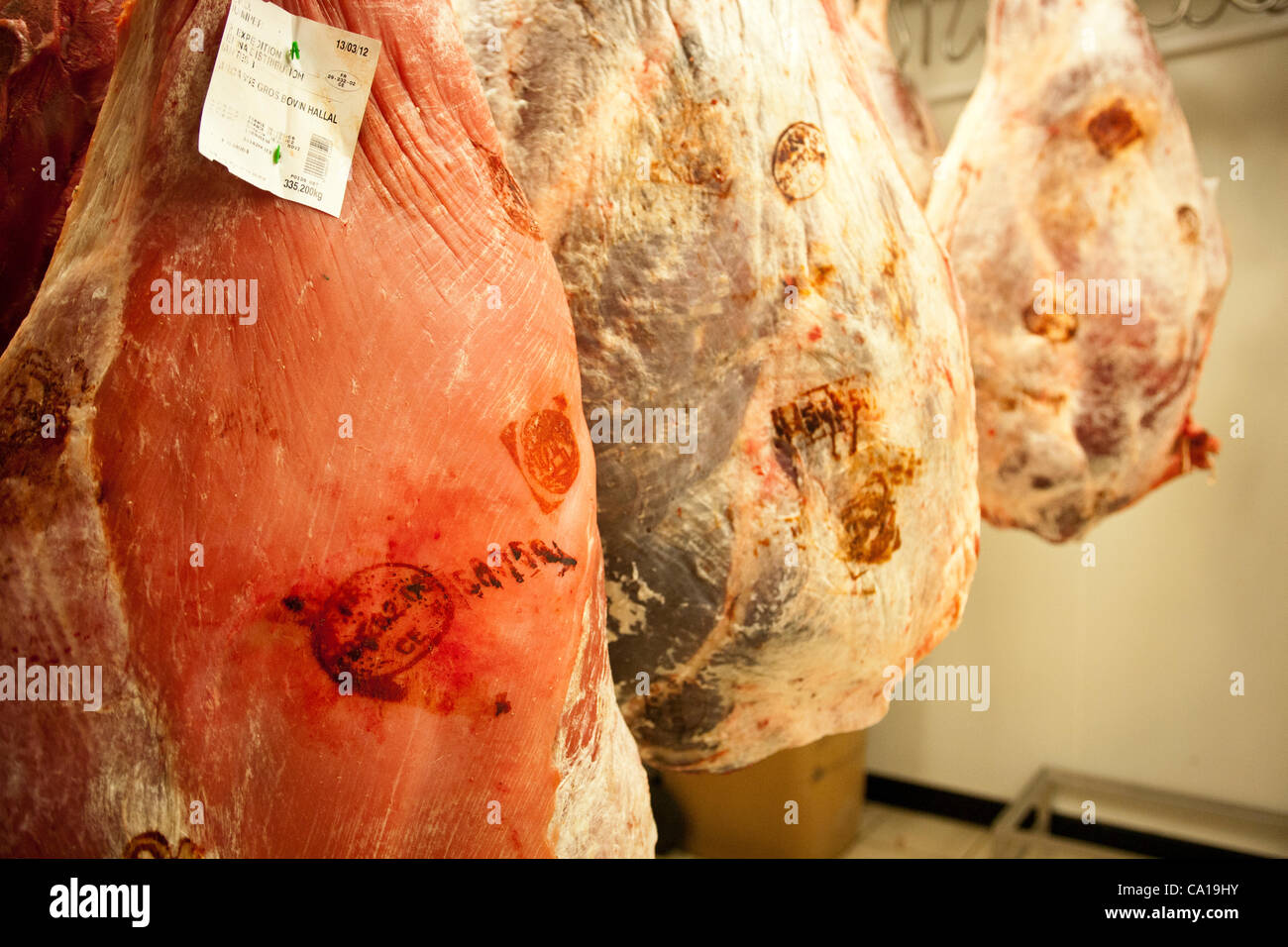 A stamp and a tagshows that a piece of beef is Halal in the meat locker at a Halal supermarket in Nantes, France, 17 March 2012 Stock Photo