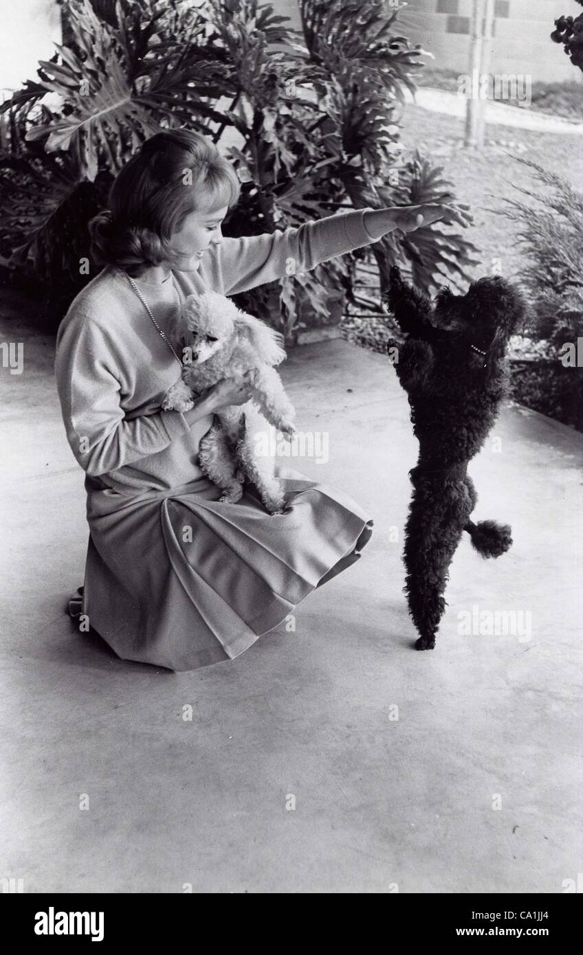 Debbie watson hi-res stock photography and images - Alamy