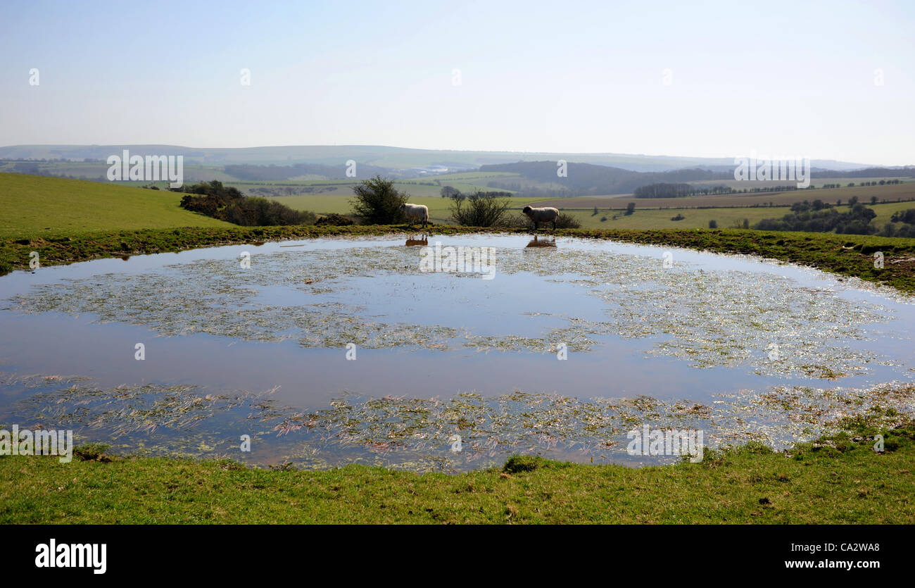 The dew pond at Ditchling Beacon in Sussex is still full despite the hot spell of weather and with a hosepipe ban Stock Photo
