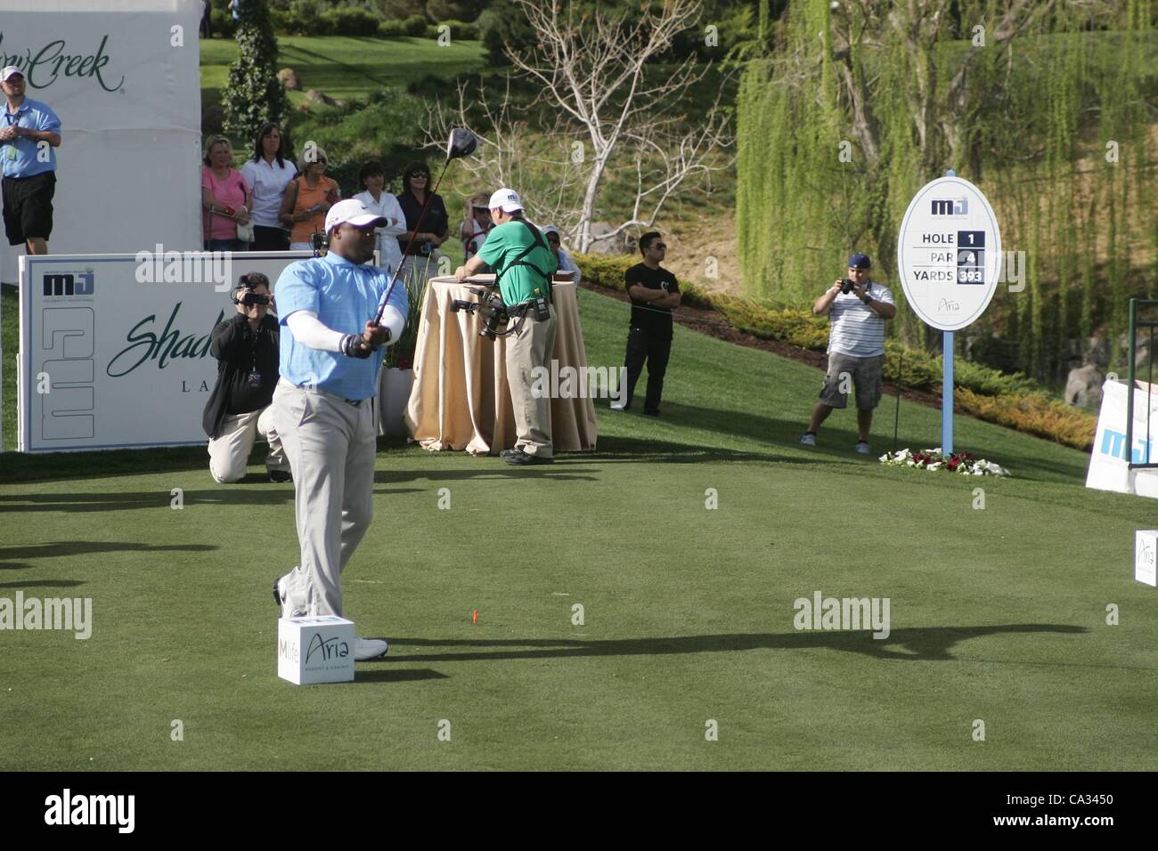 ken griffey jr and michael jordan