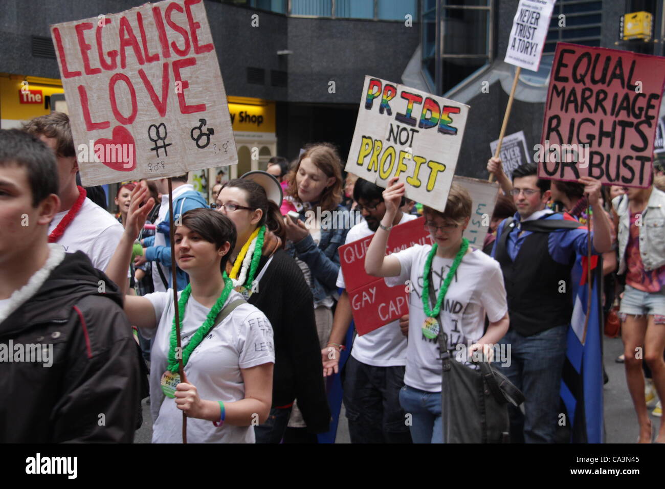 People Protesting And Carrying Signs Pride Not Profit Equal Marriage
