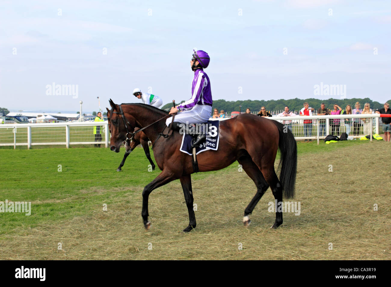 Obrien Trained High Resolution Stock Photography and Images Alamy