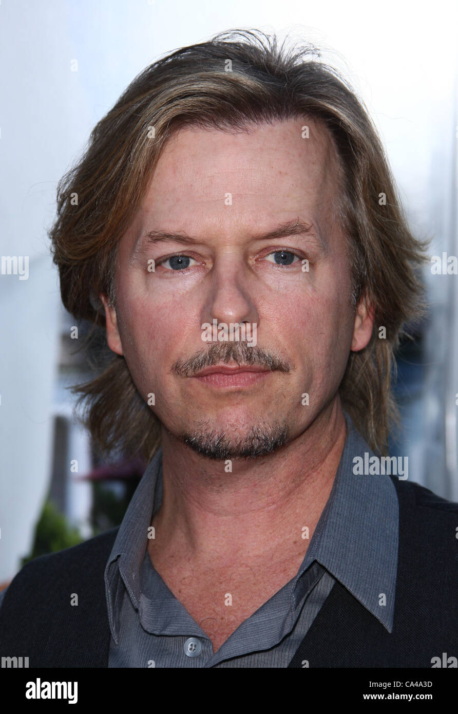 DAVID SPADE THAT'S MY BOY. WORLD PREMIERE LOS ANGELES CALIFORNIA USA 04
