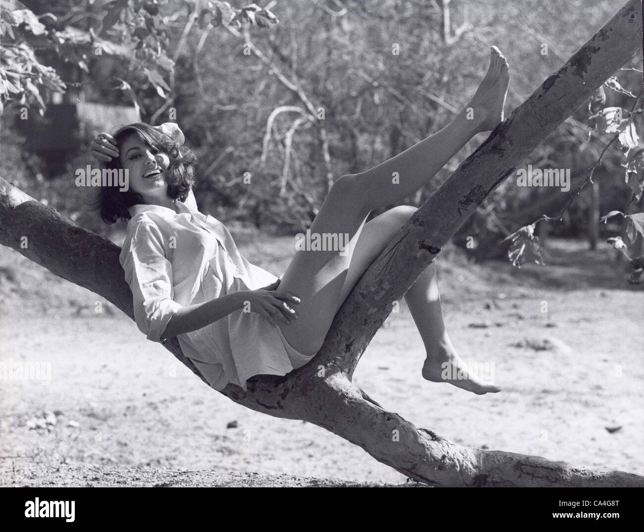 PAULA PRENTISS (Credit Image: Â© Don Ornitz/Globe Photos/ZUMAPRESS Stock Photo - Alamy