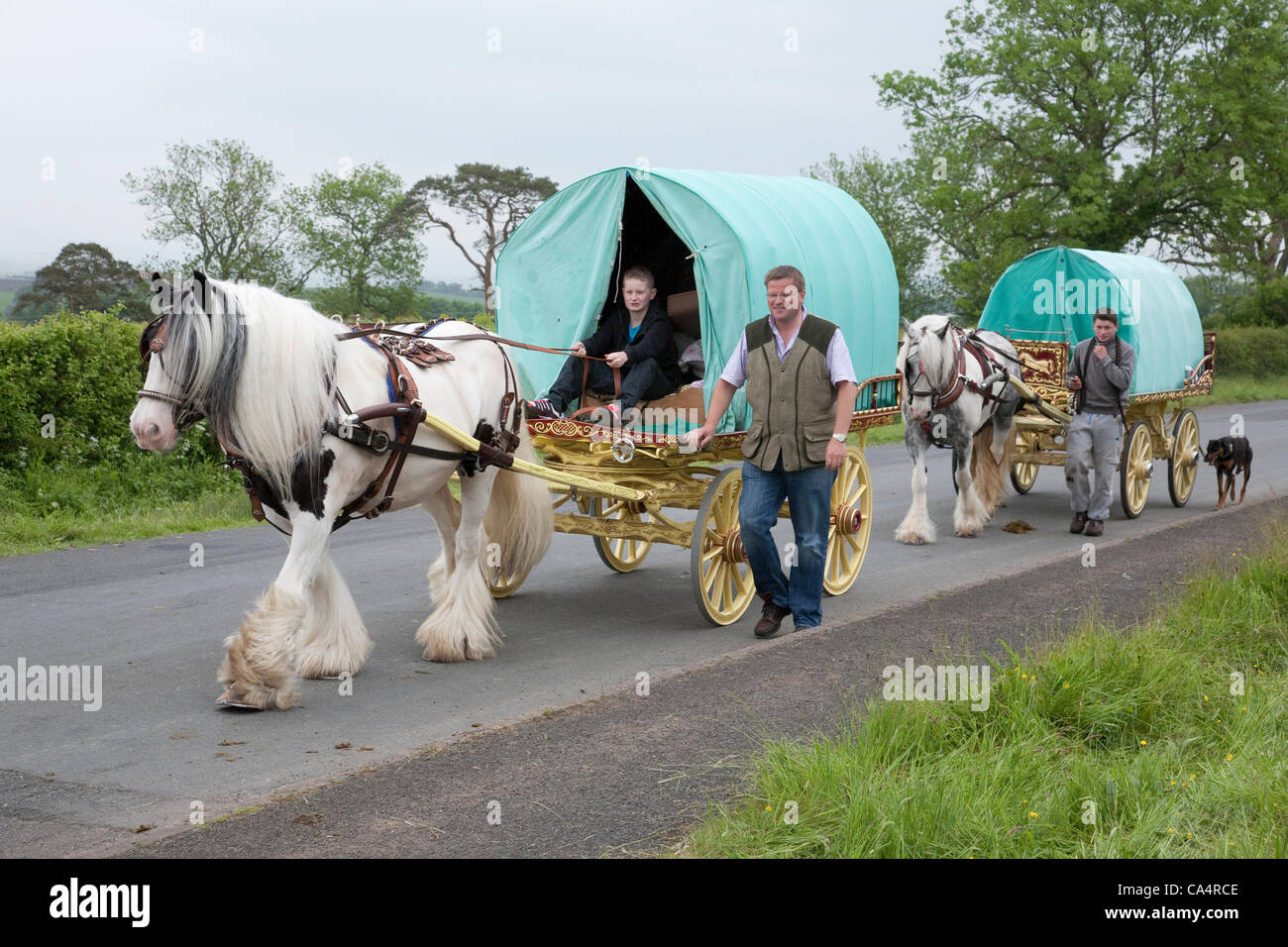 Thursday 7th June 2012 at Appleby, Cumbria, England, UK. Horse drawn bow-top wagons arrive from all over the UK on the first day of the Appleby Fair, the biggest annual gathering of Gypsies and Travellers in Europe.  The fair takes place 7th-13th June 2012. Stock Photo