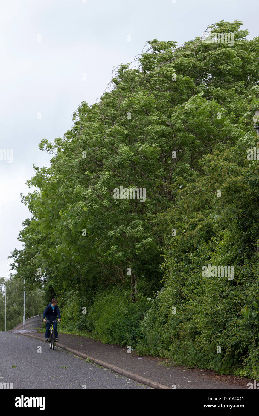 Heavy rain strong wind during hi-res stock photography and images - Alamy
