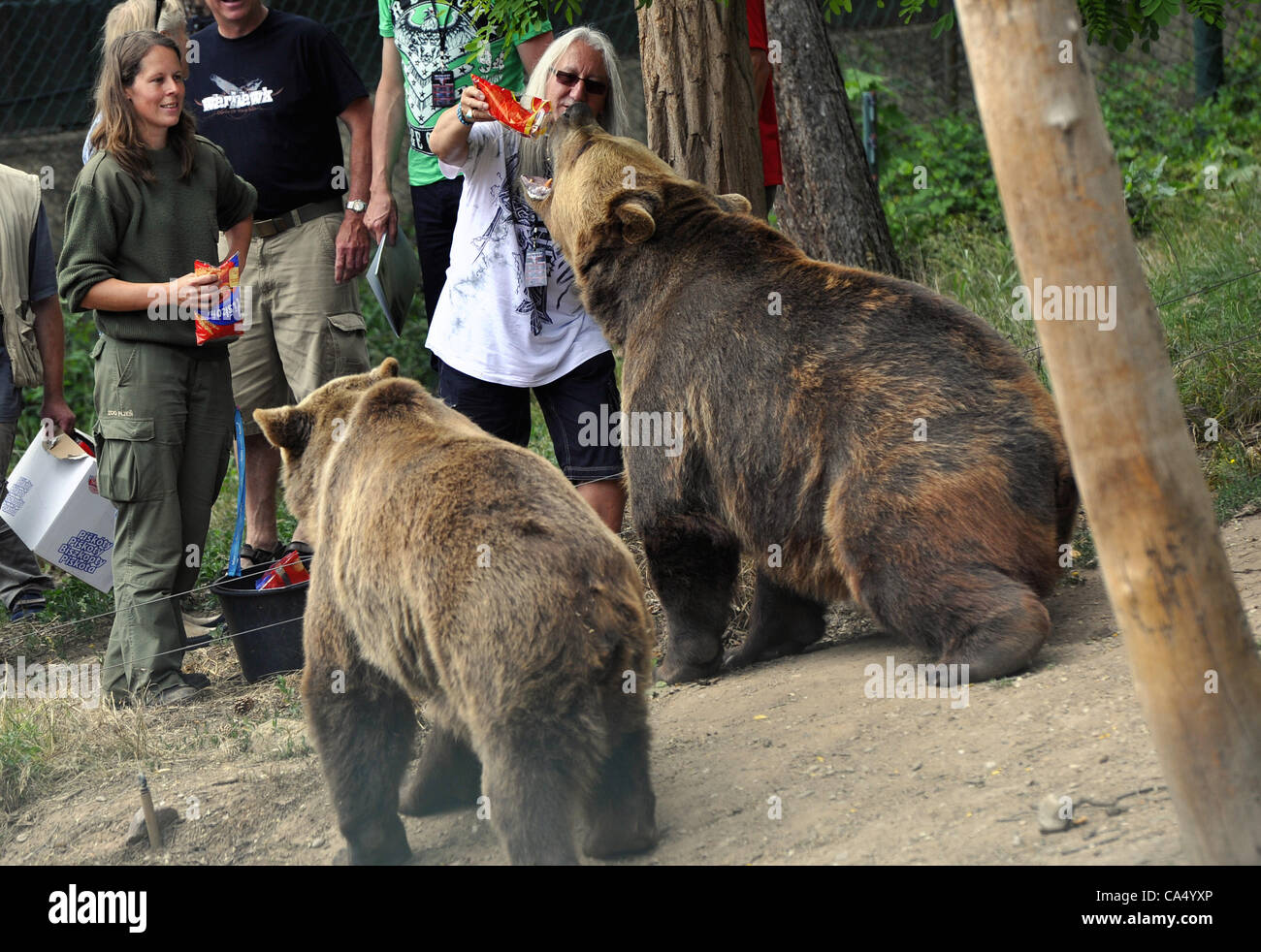 British rock band Uriah Heep which will play at the festival Metalfest in Pilsen, Czech Republic baptised on June 8, 2012 bears Eliska and Honzik in the local zoo in Pilsen. Guitarist Mick Box (right). (CTK Photo/Petr Eret) Stock Photo