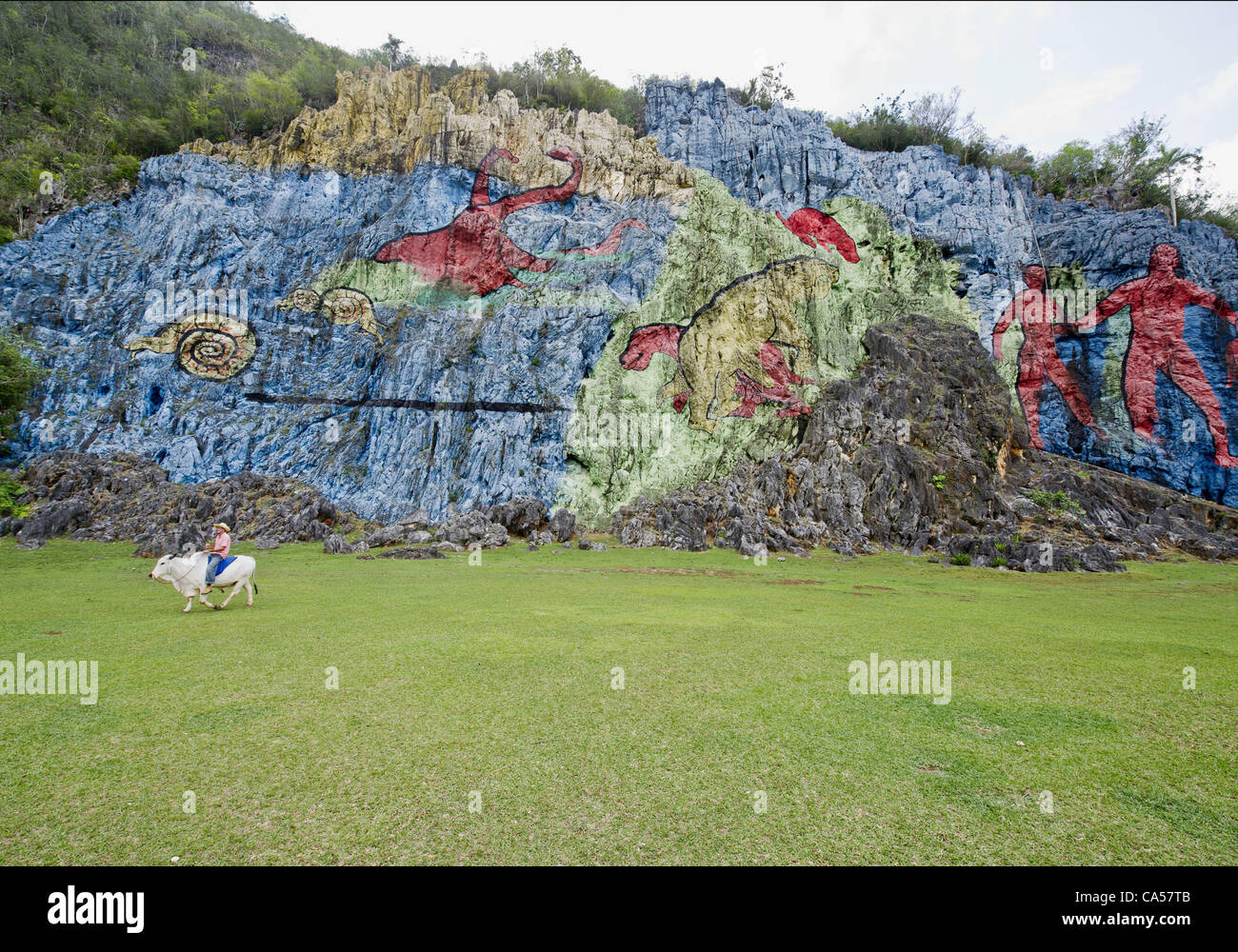 May 5, 2012 - Vinales, U.S. - The Mural de la Prehistoria (the Prehistory Wall), said to be one of the largest outdoor painted murals in the world, describes the evolution of life in Cuba. The mural, which took four years to complete and is on a limestone hill in the Vinales Valley, is primarily a t Stock Photo