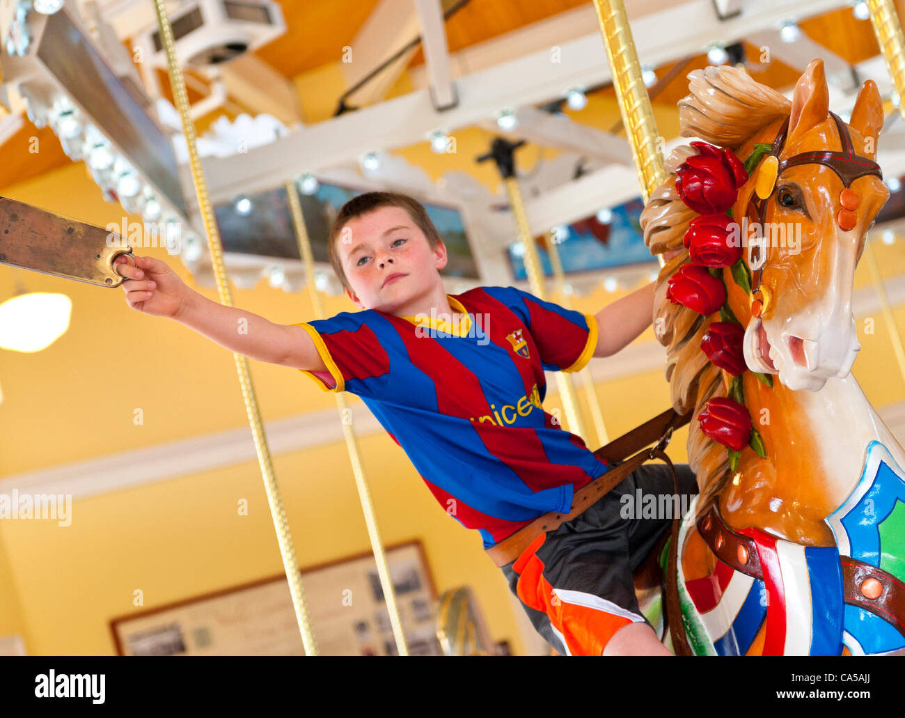 Brass ring carousel deals