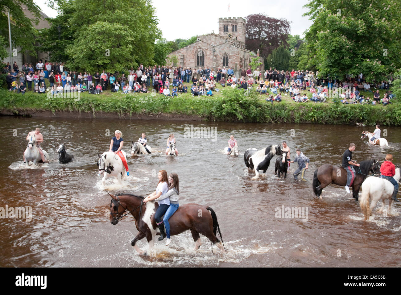 10th June 2012 at Appleby, Cumbria, UK. Horses washing in the river Eden. Sunday is traditionally a busy day for horse trading and visitor attendance at the Appleby Fair, the biggest annual gathering of Gypsies and Travellers in Europe. Stock Photo
