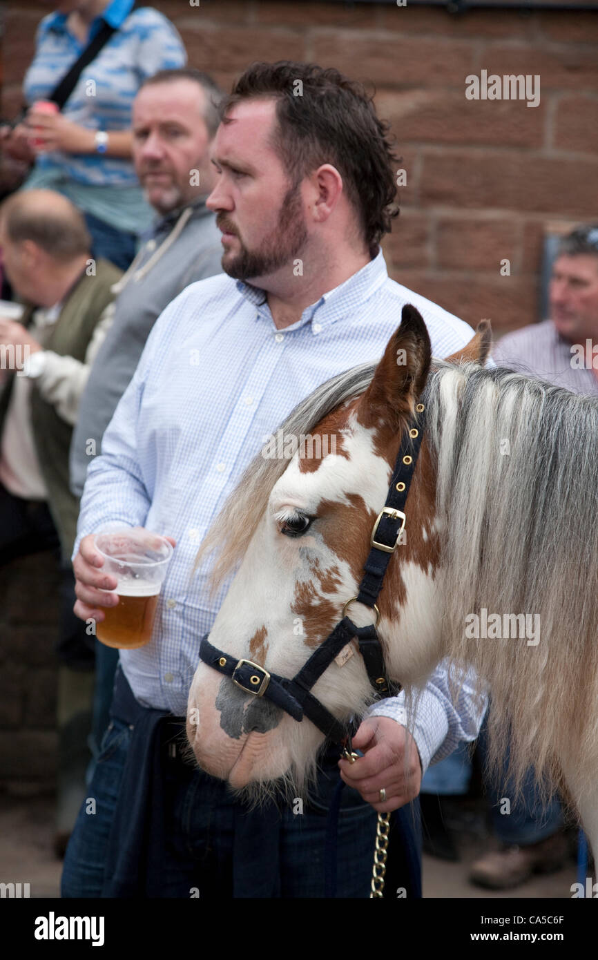 10th June 2012 at Appleby, Cumbria, UK. A man holds his horse outside the Grapes Inn pub at the Appleby Fair, the biggest annual gathering of Gypsies and Travellers in Europe. Sunday is traditionally a busy day for horse trading and visitor attendance. The fair runs 7th-13th June 2012. Stock Photo