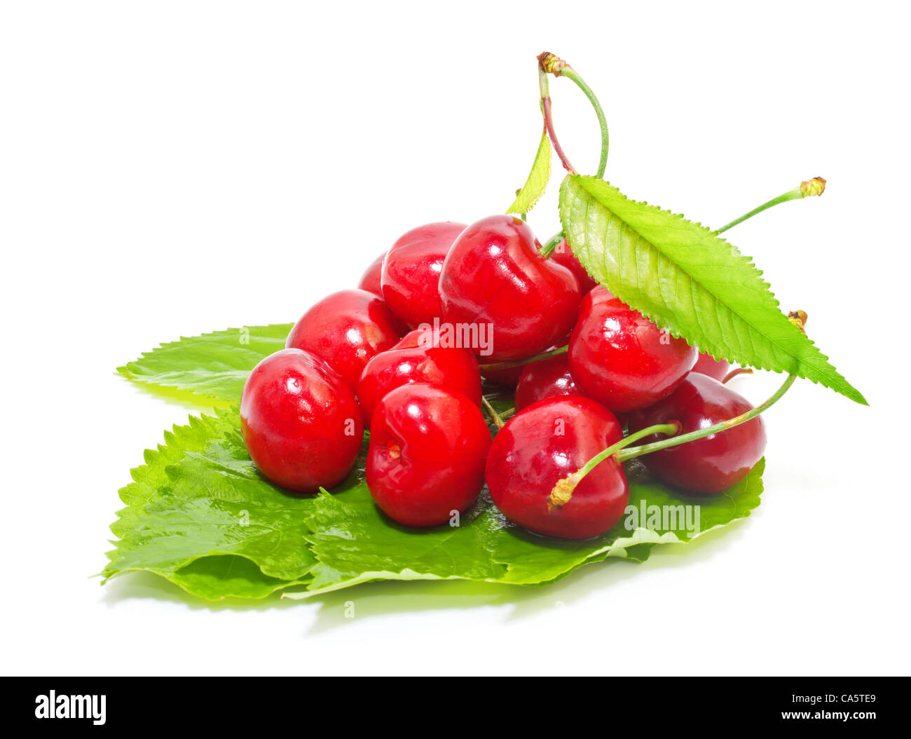 bunch of ripe cherries on a green leaf isolated on white background ...
