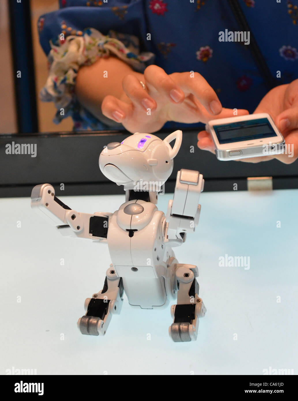 June 14, 2012, Tokyo, Japan - Takara Tomys robot dog, the Omnibot I-SODOG, is controlled by a smartphone during a demonstration at at the Tokyo Toy Show on Thursday, June 14, 2012, in Tokyo.  <br><br> Controlled by a smartphone, the robot moves like a real dog by utilizing 15 custom-designed servo m Stock Photo