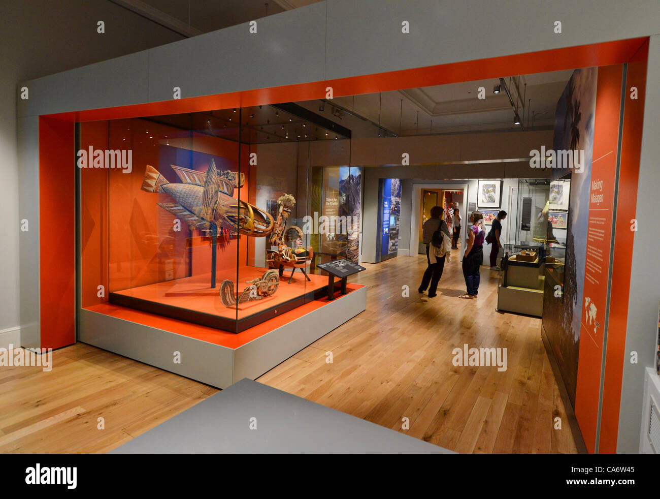 Brighton Museum & Art Gallery launches their new exhibition "World